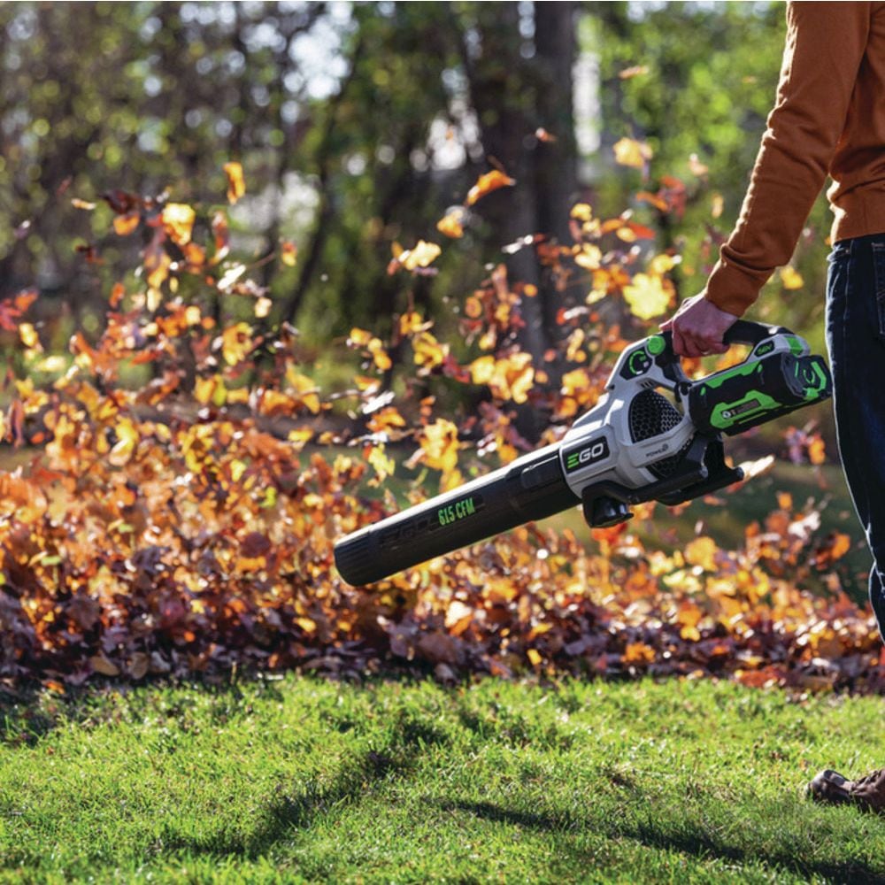 56V Brushless Cordless 615 CFM Leaf Blower, Includes (1) 2.5Ah Battery and (1) 210W Standard Charger, LB6151 C5R9 - product image 4