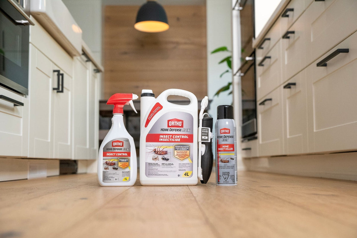 Home Defense MAX Perimeter & Indoor Liquid Ready-to-Use Insect Control, Insecticide, 4-L R0H5 - product image 3