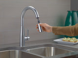 1-Handle Pull-Down Kitchen Faucet Arctic, Stainless E1C8 - product image 3