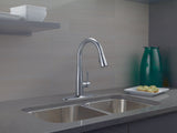 1-Handle Pull-Down Kitchen Faucet Arctic, Stainless E1C8 - product image 4