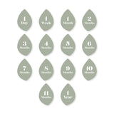 Baby's 1st Year Milestone Blanket, Sweet as a Peach R1Z9 - product image 1