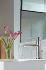 Align Single Handle High Arc Single Hole Bathroom Sink Faucet, Chrome D2J1 - product image 5