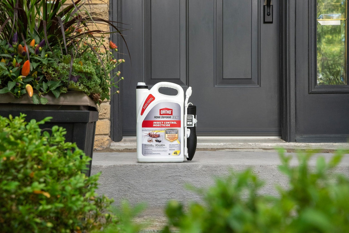 Home Defense MAX Perimeter & Indoor Liquid Ready-to-Use Insect Control, Insecticide, 4-L R0H5 - product image 5
