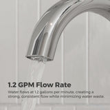 Raya 4-in Chrome Centerset Bathroom Sink Faucet D0L9 - product image 5
